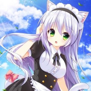 Meet your Posher, Zorn